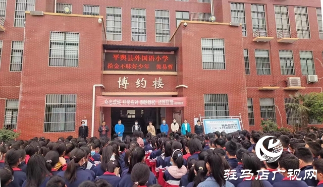 平舆：拾金不昧好少年 传承美德暖人心