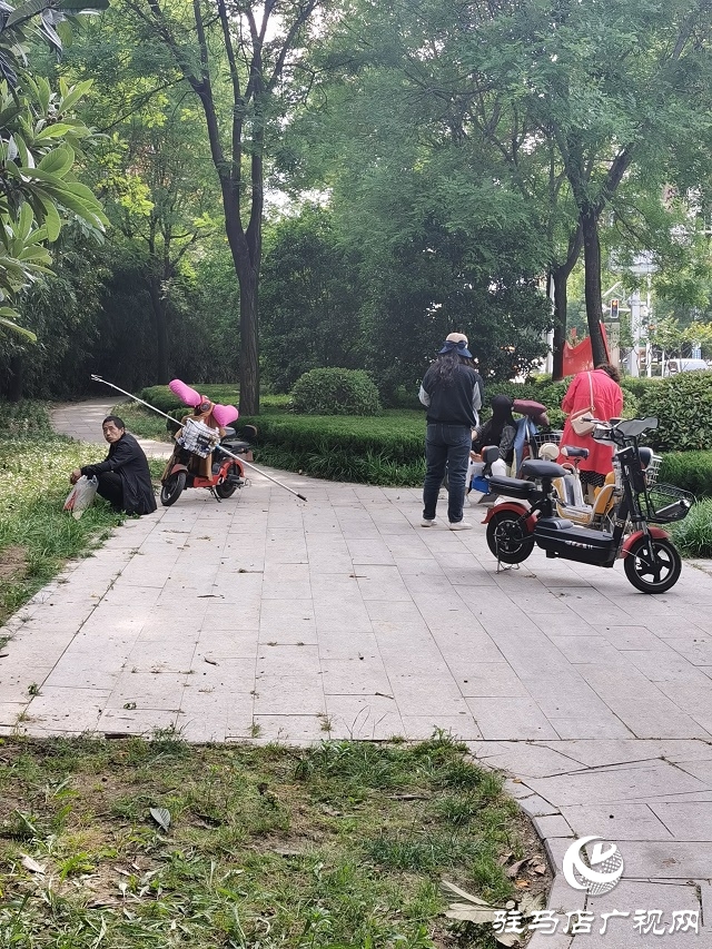 摘下的是枇杷  丢掉的是公德