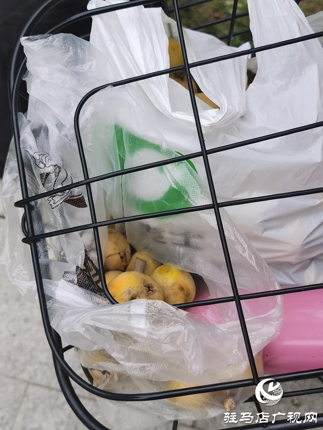 摘下的是枇杷  丢掉的是公德
