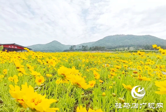 驻马店老乐山风景区：五月游花海 美景惹人醉