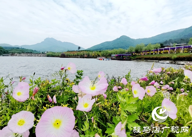驻马店老乐山风景区：五月游花海 美景惹人醉