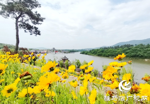 驻马店老乐山风景区：五月游花海 美景惹人醉