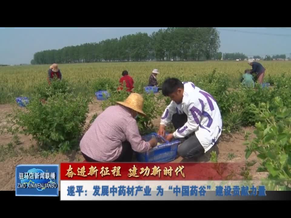 遂平：发展中药材产业 为“中国药谷”建设贡献力量