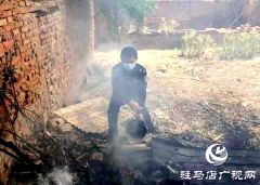 平舆县：杨絮引火灾 民警勇扑救