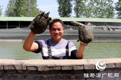汝南县板店乡：水里捞出“金元宝”垃圾场变身“致富塘”