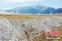 东西问丨李振基：保护生物多样性，中国虞衡制度告诉了我们什么？