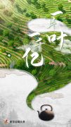 一片叶，一千亿