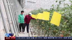 农业农村部：我国主要“菜篮子”产品生产供应充足