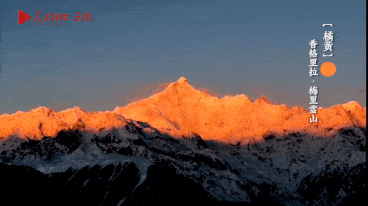 微信图片_20220523094211.gif