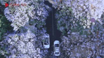 微信图片_20220523094220.gif