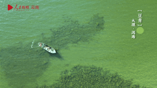 微信图片_20220523094217.gif