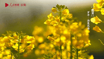 微信图片_20220523094213.gif