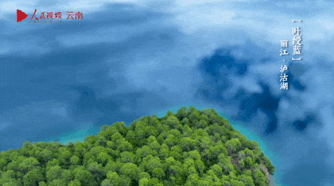 微信图片_20220523094219.gif