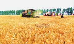 5万张作业证 79.8万辆载货车辆 河南保障农资农机运输顺畅
