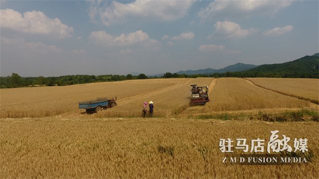 微信图片_202205260945573.jpg