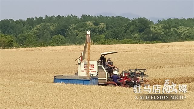 微信图片_202205260945574.jpg