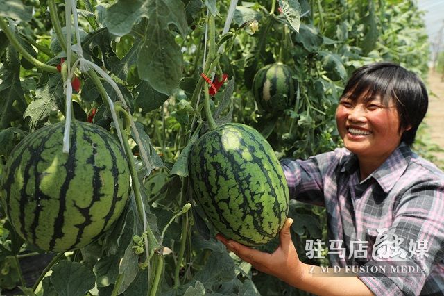 微信图片_202205261557348~2.jpg