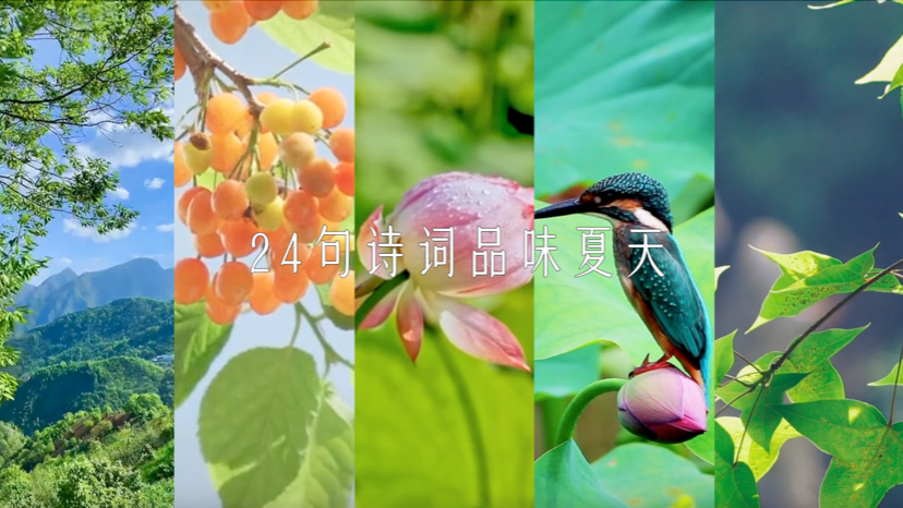 古风之美！24句诗词品味夏天