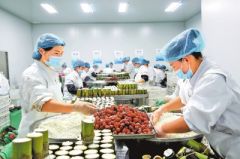 河南一揽子就业政策都有啥努力开发 30万个以上就业岗位
