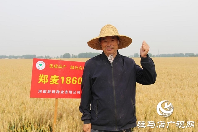 河南驻研种业：郑麦1860观摩会成功召开