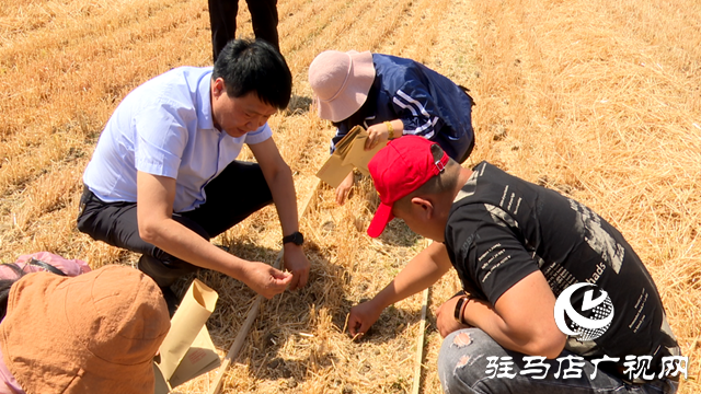 泌阳县农业机械技术服务中心举办小麦机收减损技能大比武