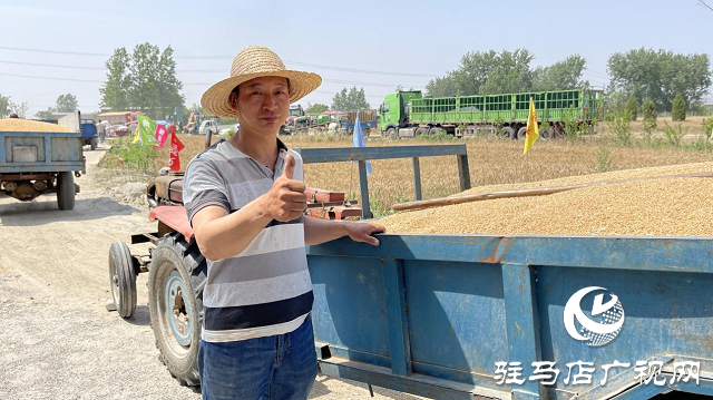 夏粮丰收：订单小麦丰产价好 农民卖粮热情高