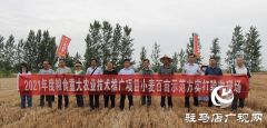 【见证高产奇迹·分享丰收喜悦】——驻马店市小麦实打验收单产创新高