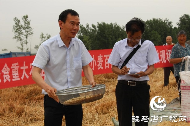 【见证高产奇迹·分享丰收喜悦】——驻马店市小麦实打验收单产创新高