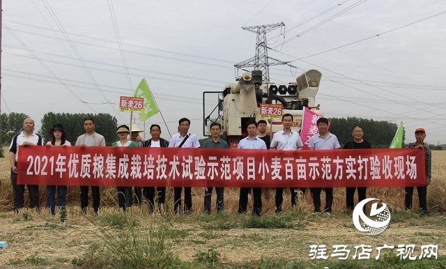 【见证高产奇迹·分享丰收喜悦】——驻马店市小麦实打验收单产创新高
