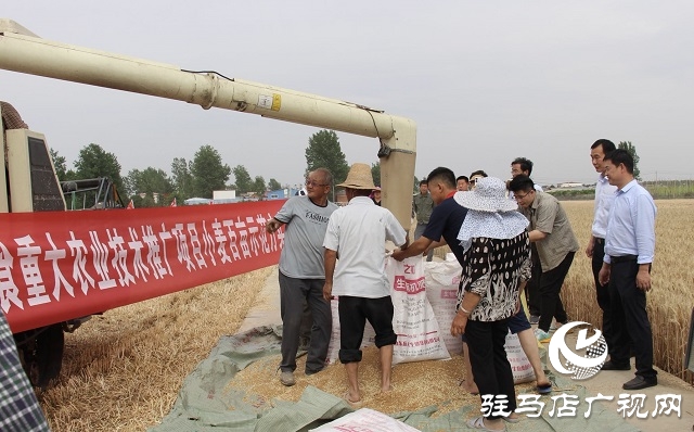 【见证高产奇迹·分享丰收喜悦】——驻马店市小麦实打验收单产创新高