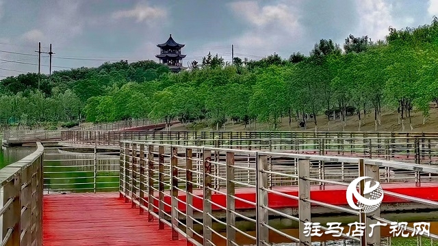 雨后的滨河公园