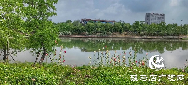 雨后的滨河公园