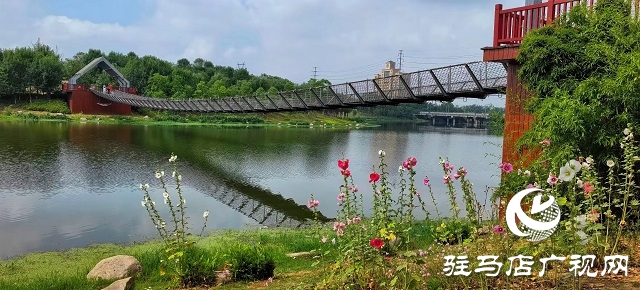 雨后的滨河公园