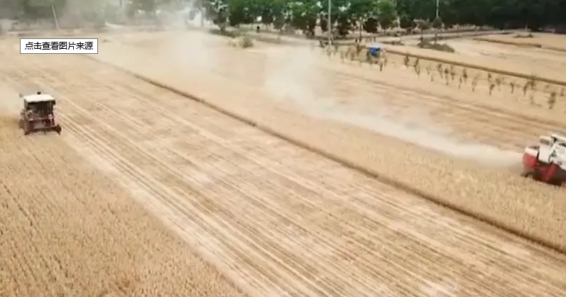 非常之年战三夏丨全省麦收过半 夏种完成十分之一