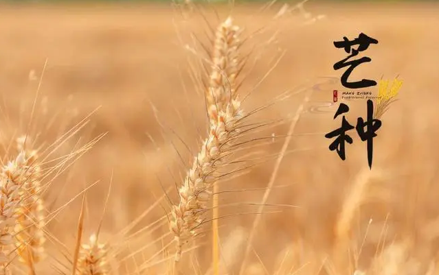 1654480777117228.png 微信截图_20220606094710.png