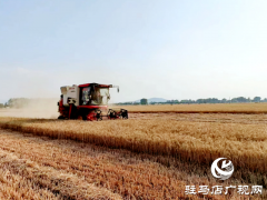 疫情防控不松劲 农业生产不误时