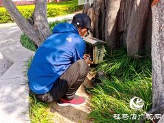 开发区城管局：及时整治游园“飞线” 消除安全隐患