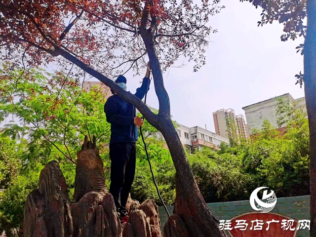 开发区城管局：及时整治游园“飞线” 消除安全隐患