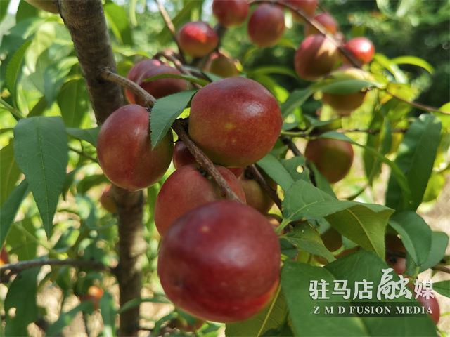 微信图片_202206071520147.jpg