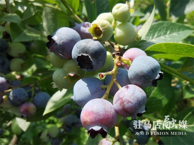 微信图片_202206071520142.jpg