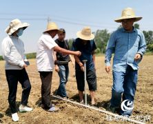 正阳县：多部门联合做好花生播种气象保障服务