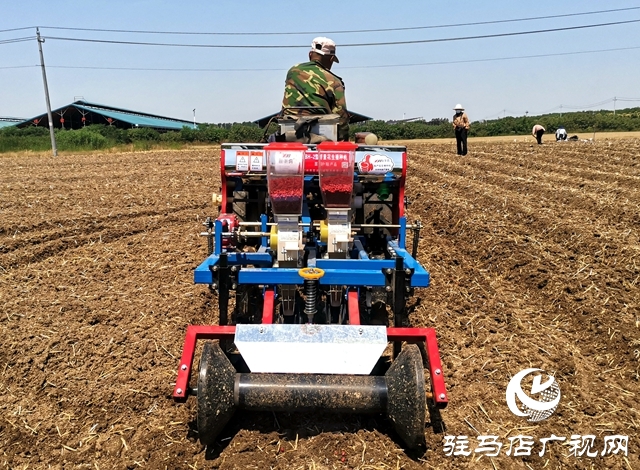 正阳：多部门联合做好花生播种气象保障服务