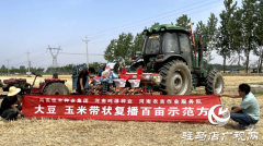 吨源种业：开展大豆玉米带状复播种植 助力农业提质增效