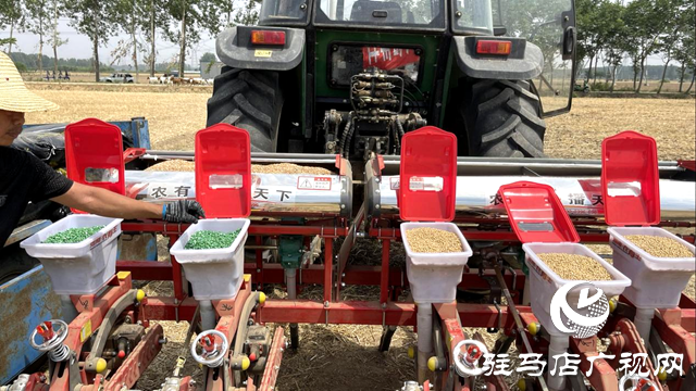 吨源种业：开展大豆玉米带状复播种植 助力农业提质增效