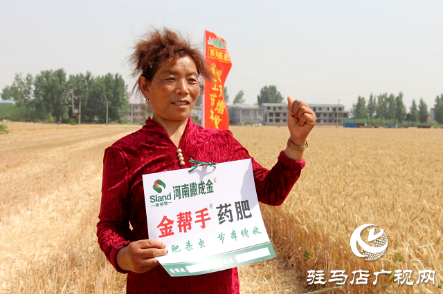  【见证高产奇迹】：河南撒成金药肥 丰收现场显神威