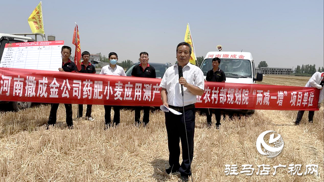  【见证高产奇迹】：河南撒成金药肥 丰收现场显神威