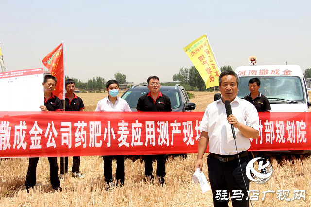  【见证高产奇迹】：河南撒成金药肥 丰收现场显神威