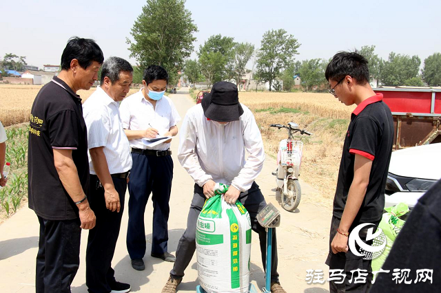  【见证高产奇迹】：河南撒成金药肥 丰收现场显神威