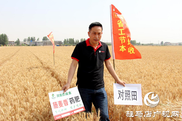 图片12.png