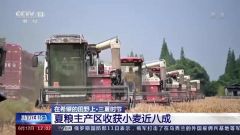 农业农村部：我国夏粮主产区收获小麦近八成